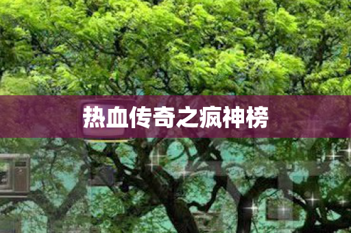 热血传奇之疯神榜图片
