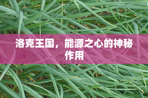 能源之心的神秘作用图片