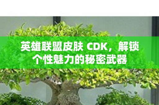 解锁个性魅力的秘密武器图片