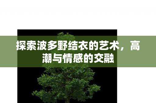 探索波多野结衣的艺术图片