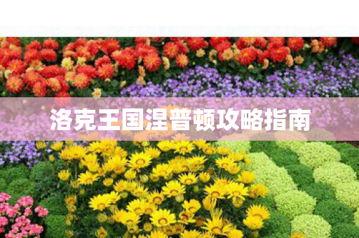 洛克王国涅普顿攻略指南图片