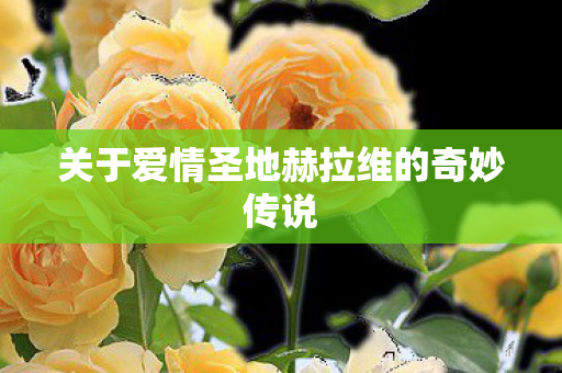 关于爱情圣地赫拉维的奇妙传说图片