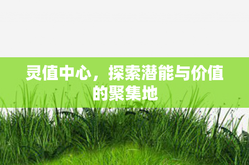 探索潜能与价值的聚集地图片