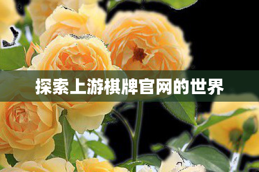 探索上游棋牌官网的世界图片