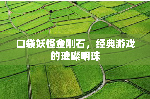 经典游戏的璀璨明珠图片