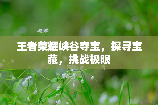 王者荣耀峡谷夺宝图片
