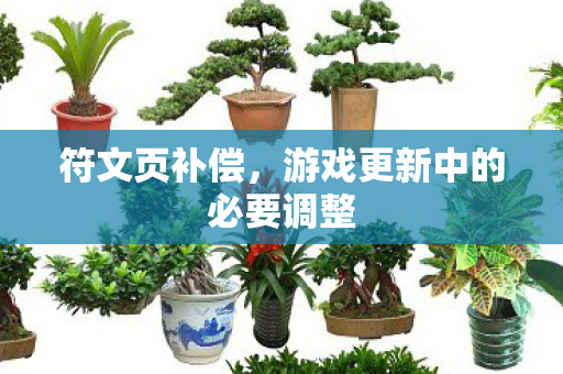 游戏更新中的必要调整图片