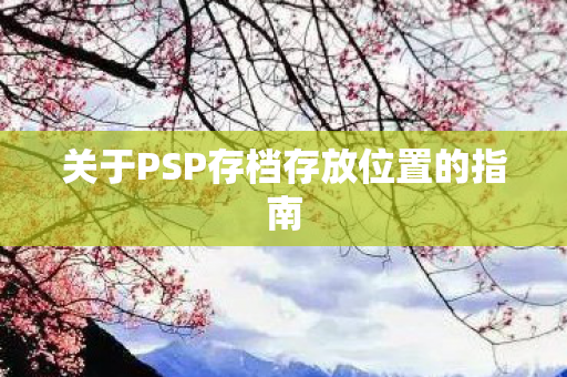 关于PSP存档存放位置的指南图片