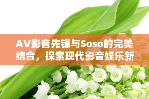 AV影音先锋与Soso的完美结合图片