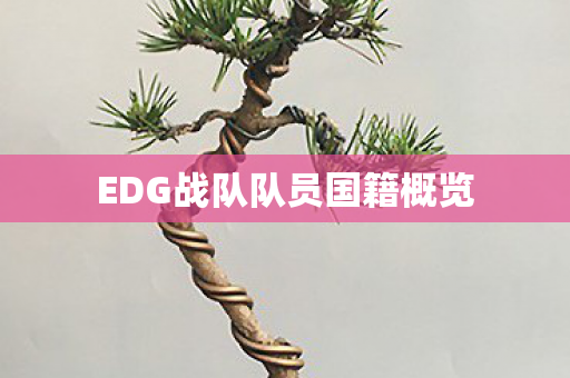 EDG战队队员国籍概览图片