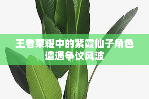 王者荣耀中的紫霞仙子角色遭遇争议风波图片