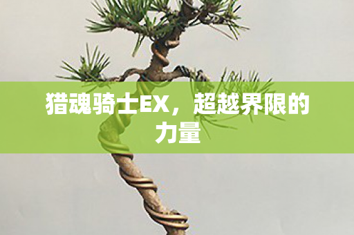 超越界限的力量图片