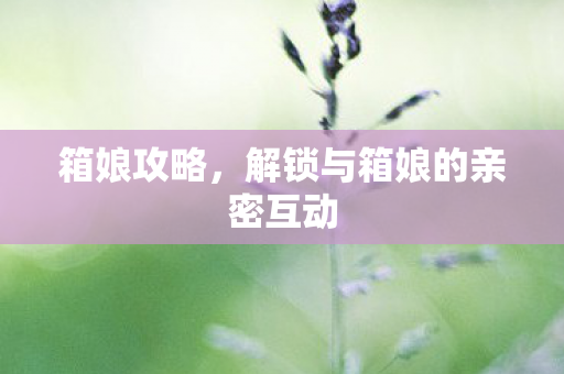 解锁与箱娘的亲密互动图片