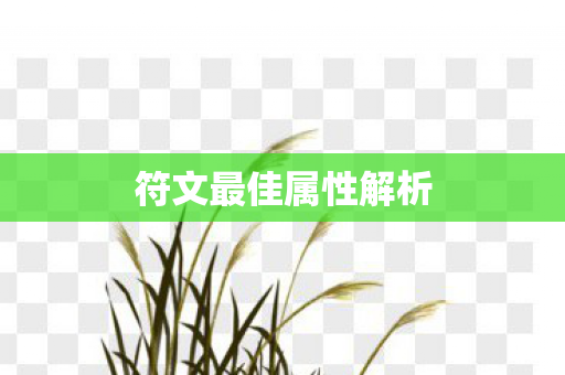 符文最佳属性解析图片