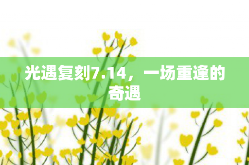 一场重逢的奇遇图片