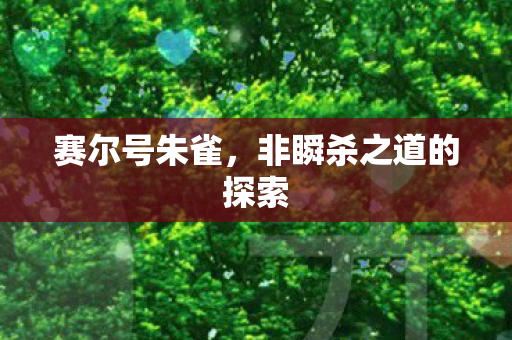 非瞬杀之道的探索图片