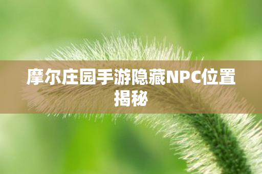 摩尔庄园手游隐藏NPC位置揭秘图片