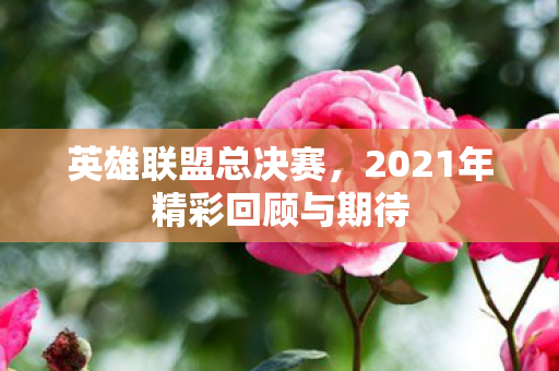 2021年精彩回顾与期待图片