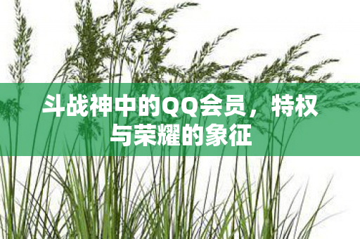 斗战神中的QQ会员图片