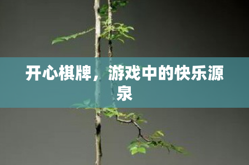 游戏中的快乐源泉图片
