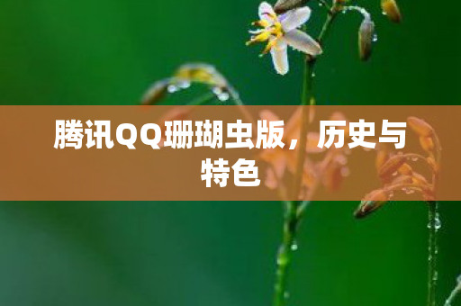 腾讯QQ珊瑚虫版图片