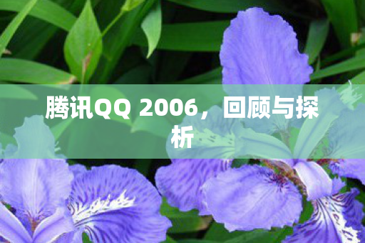 腾讯QQ 2006图片