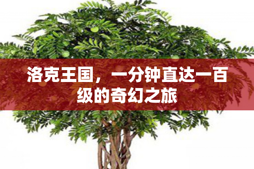 一分钟直达一百级的奇幻之旅图片