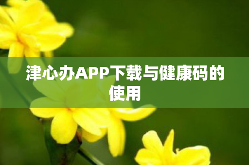 津心办APP下载与健康码的使用图片