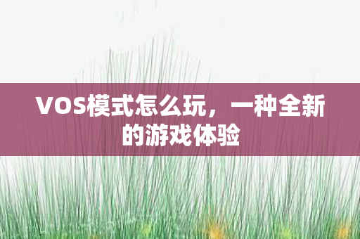 一种全新的游戏体验图片