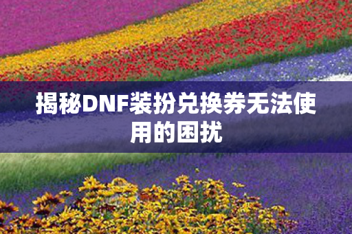 揭秘DNF装扮兑换券无法使用的困扰图片