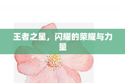 闪耀的荣耀与力量图片