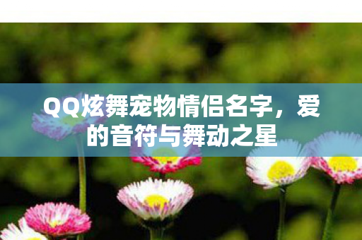QQ炫舞宠物情侣名字图片