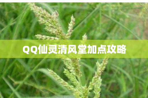 QQ仙灵清风堂加点攻略图片