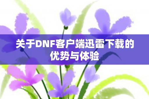 关于DNF客户端迅雷下载的优势与体验图片
