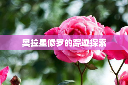 奥拉星修罗的踪迹探索图片