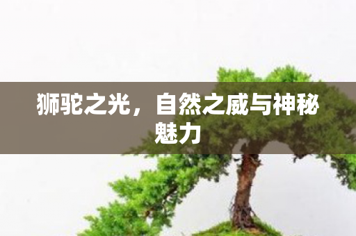 自然之威与神秘魅力图片