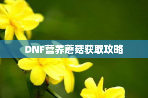 DNF营养蘑菇获取攻略图片