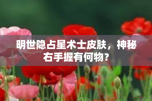明世隐占星术士皮肤图片