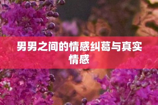 男男之间的情感纠葛与真实情感图片
