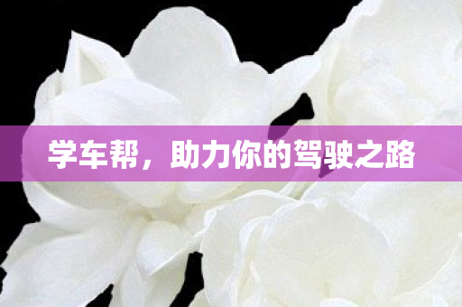 助力你的驾驶之路图片