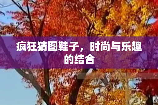 时尚与乐趣的结合图片