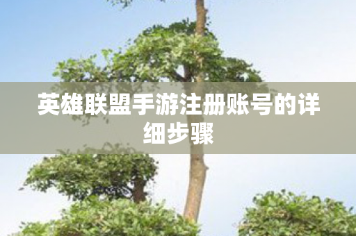 英雄联盟手游注册账号的详细步骤图片
