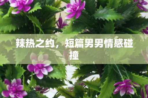 短篇男男情感碰撞图片