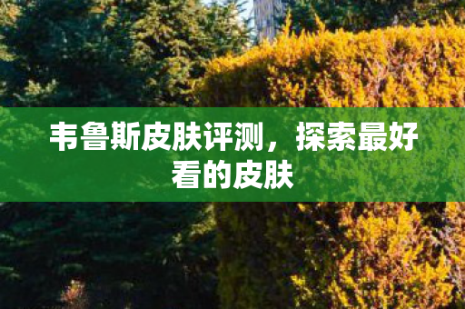 探索最好看的皮肤图片