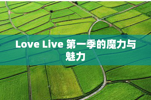 Love Live 第一季的魔力与魅力图片