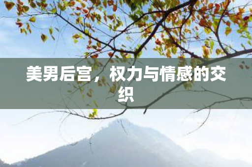 权力与情感的交织图片