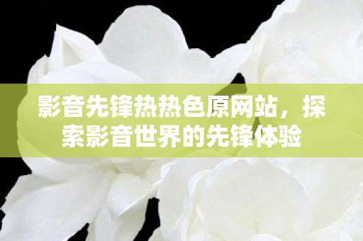 探索影音世界的先锋体验图片