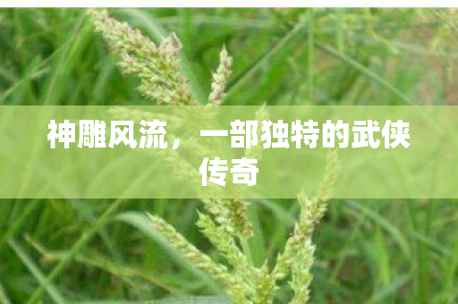 一部独特的武侠传奇图片