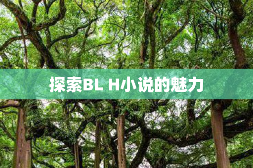 探索BL H小说的魅力图片