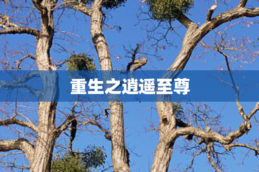 重生之逍遥至尊图片